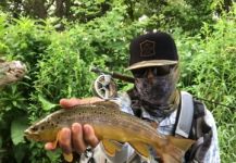 Scott Grassi 's Fly-fishing Pic of a Salmo trutta | Fly dreamers 