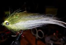 David Bullard 's Fly for Snook - Robalo - Image | Fly dreamers 