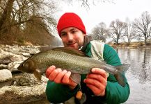 Fly-fishing Picture of Thymallus thymallus shared by Lukas Bammatter | Fly dreamers