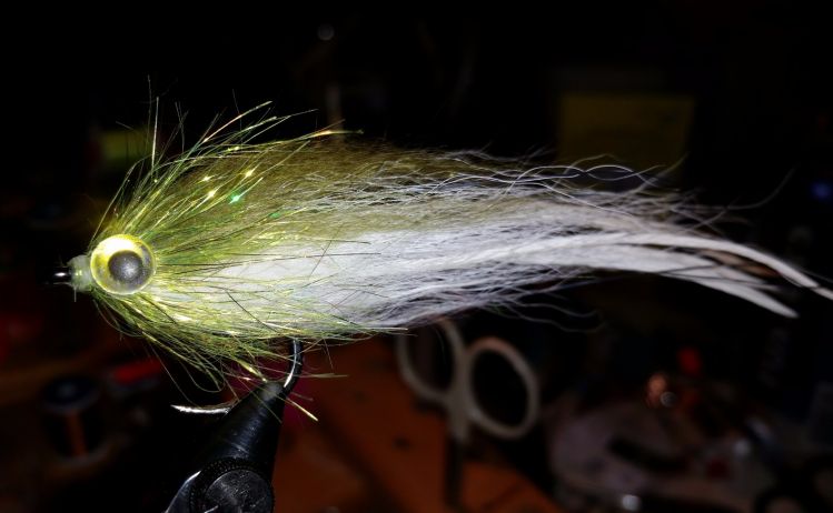 Small snook hollow fly...