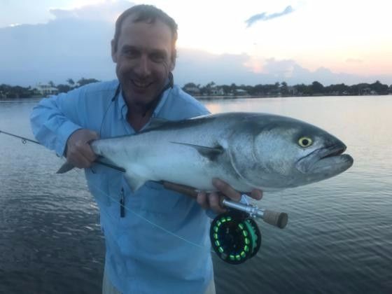15lbs bluefish on 8wt on popper in Loxahatchee river this spring. ..biggest in FL by heck of a lot...amazing stuff...saw a few pushing 20lbs. ..