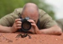  Fotografía de Entomología y Pesca con Mosca por Saúl Borbolla | Fly dreamers