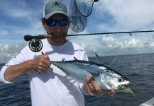 Fly-fishing Photo of False Albacore - Little Tunny shared by David Bullard | Fly dreamers 