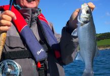 Richie Ryan 's Fly-fishing Photo of a European seabass | Fly dreamers 