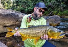 Tomasz Talarczyk 's Fly-fishing Picture of a Golden dorado | Fly dreamers 