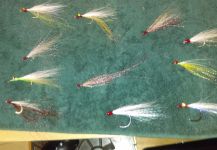 Kellyanne Gill 's Fly-tying for Other Species - Picture | Fly dreamers 