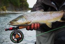 Freestone rivers, streams, spring creeks, stillwater stalking, Wanaka/Queestown, Southland/ Otago, New Zealand