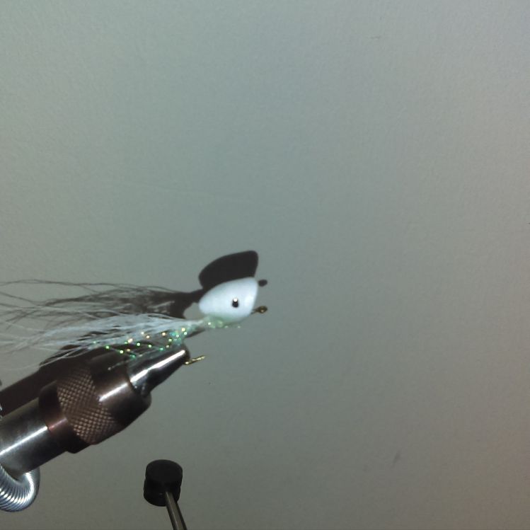A better attempt at a Whiting popper fly, this one turned out much better than the previous
