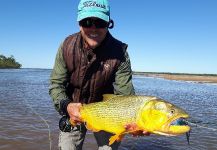 Fly-fishing Pic of jaw characin shared by JOSE LUIS MARIN | Fly dreamers 