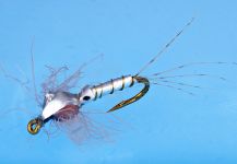  Atado de mosca para Trucha arcoiris  por Colin Pittendrigh | Fly dreamers 