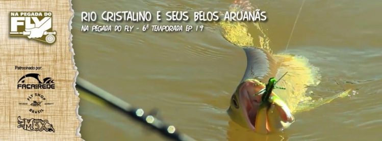 ARUANÃ ON THE FLY!