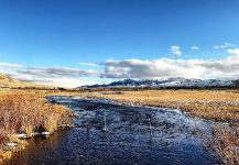 Silver Creek, Ketchum, Idaho, United States