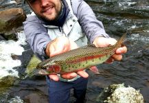 Rafael Arruda 's Fly-fishing Photo of a Rainbow trout | Fly dreamers 