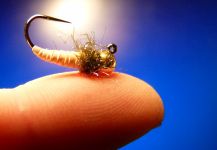 Fly-tying for Rainbow trout - Pic shared by Carlos Estrada | Fly dreamers 