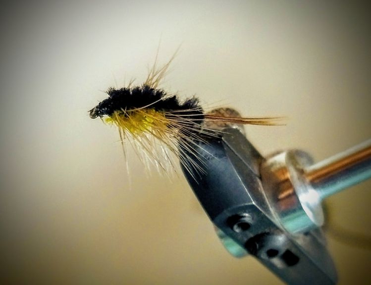 Montana Nymph fly