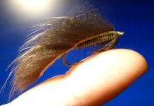 Carlos Estrada 's Fly-tying for Rainbow trout - Photo | Fly dreamers 