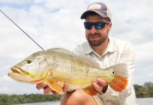 Fly-fishing Image of Peacock Bass shared by Kelven Lopes | Fly dreamers