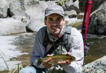Rainbow trout Fly-fishing Situation – Daniel Fernandez Bernis shared this Good Image in Fly dreamers 