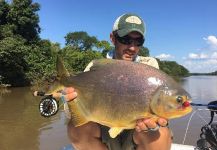 Lucas De Zan 's Fly-fishing Catch of a Pacu | Fly dreamers 
