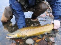 Foto de pesca con mosca