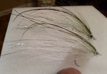 David Bullard 's Fly-tying for Snook - Robalo - Picture | Fly dreamers 