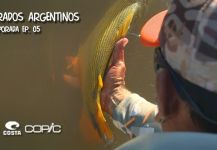 Kid Ocelos 's Fly-fishing Pic of a River tiger | Fly dreamers 