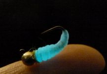 Carlos Estrada 's Fly for Rainbow trout - | Fly dreamers 