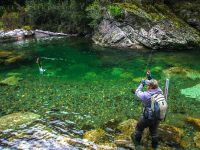 Fly fishing picture