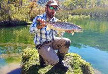Fly-fishing Image of Rainbow trout shared by Diego Soto | Fly dreamers