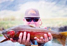 Fly-fishing Image of Greenback cutthroat shared by Mike Campbell | Fly dreamers