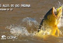 Fly-fishing Image of Dorados shared by Kid Ocelos | Fly dreamers