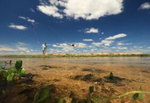  Fotografía de Pesca con Mosca de Freshwater dorado compartida por Fergus Kelley | Fly dreamers