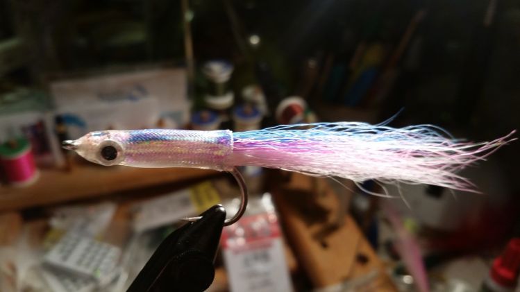 Fave False Albacore fly at moment...Conehead candy..white/pink/blue