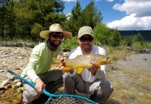 Chris Andersen 's Fly-fishing Pic of a Browns | Fly dreamers 