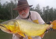  Fotografía de Pesca con Mosca de Freshwater dorado por Roberto Garcia | Fly dreamers 