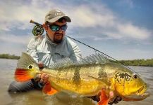 Fly-fishing Picture of Peacock Bass shared by Juan Antonio Pérez Figueroa | Fly dreamers