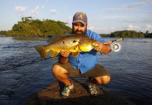  Captura de Pesca con Mosca de Tucunare - Pavón por JUAN Winchester | Fly dreamers