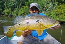  Situación de Pesca con Mosca de Tucunare - Pavón – Imagen por JUAN Winchester en Fly dreamers