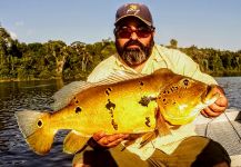 JUAN Winchester 's Fly-fishing Picture of a Peacock Bass | Fly dreamers 