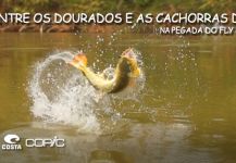 Kid Ocelos 's Fly-fishing Photo of a Freshwater dorado | Fly dreamers 