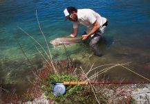 AITUE PESCA CON MOSCA /CONSERVACION PATAGONIA 's Fly-fishing Picture of a Rainbow trout | Fly dreamers 