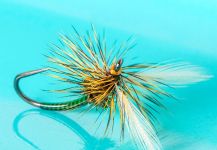 Nice Fly-tying Pic by Katie Demuth 