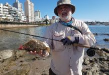 Roberto Garcia 's Fly-fishing Picture of a Flounder | Fly dreamers 
