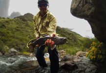 SUR OUTFITTERS 's Fly-fishing Picture of a Brownie | Fly dreamers 