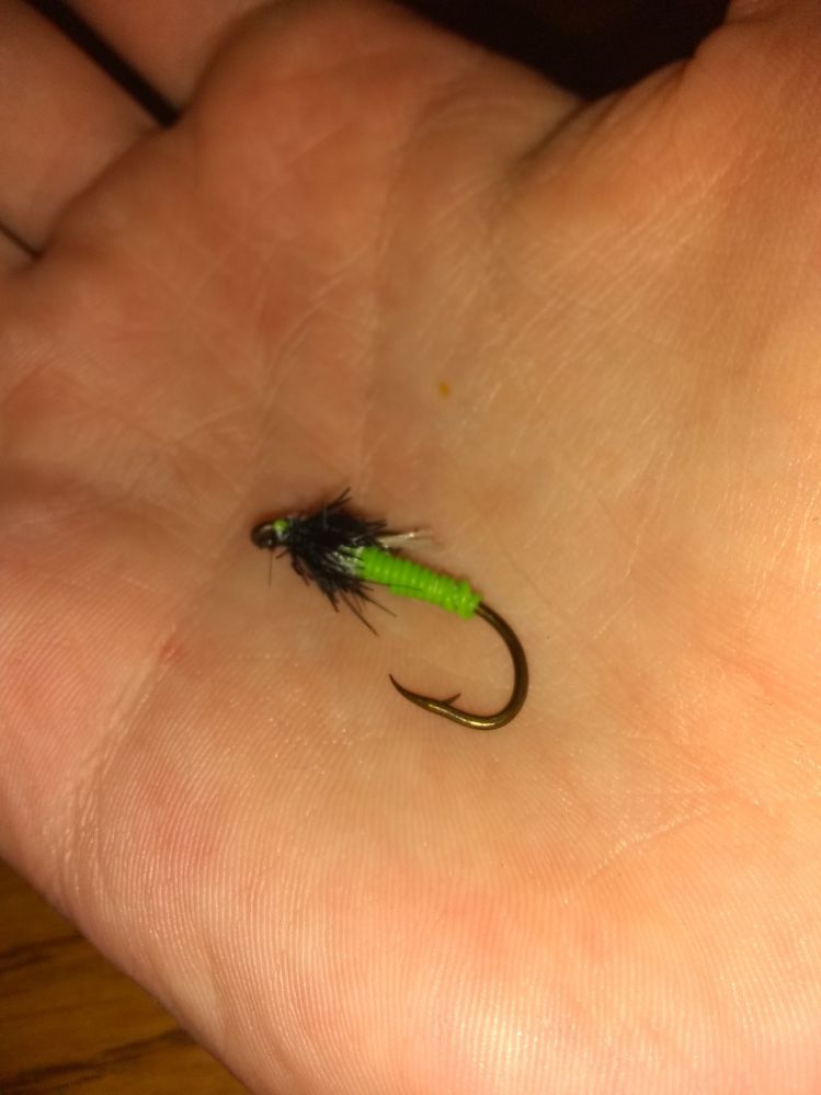Fly tying skills have improved check out this bad boy
