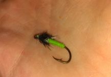 Cool Fly-tying Picture by Titus Driskill 