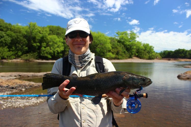 Aurelio Martins Fly FIshing for  blue wolf fish in clear waters