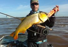 Fly-fishing Situation of Freshwater dorado - Picture shared by Carlos G Dinatale | Fly dreamers