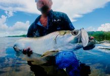  Captura de Pesca con Mosca de Tarpón por CHARLY HERNANDEZ | Fly dreamers