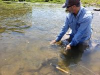 Fly fishing picture